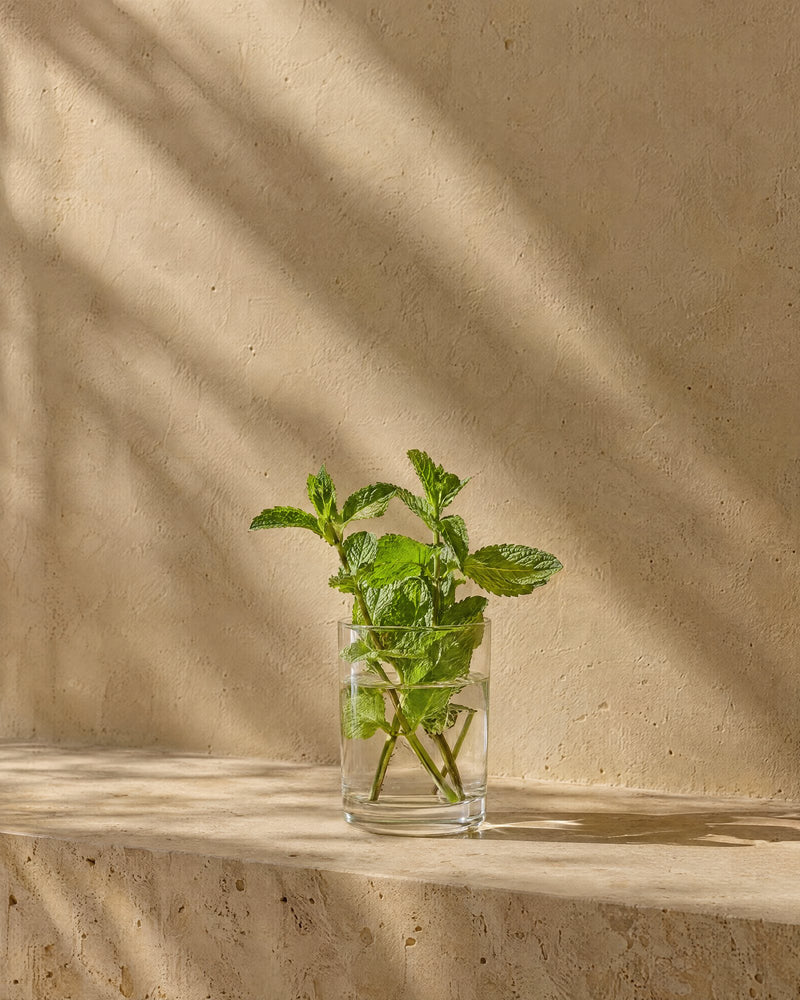 Menta