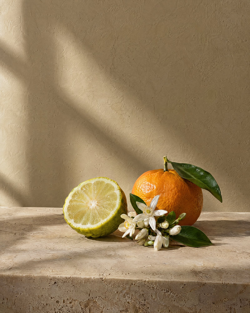 Top: Bergamot · Mandarin · Orange blossom