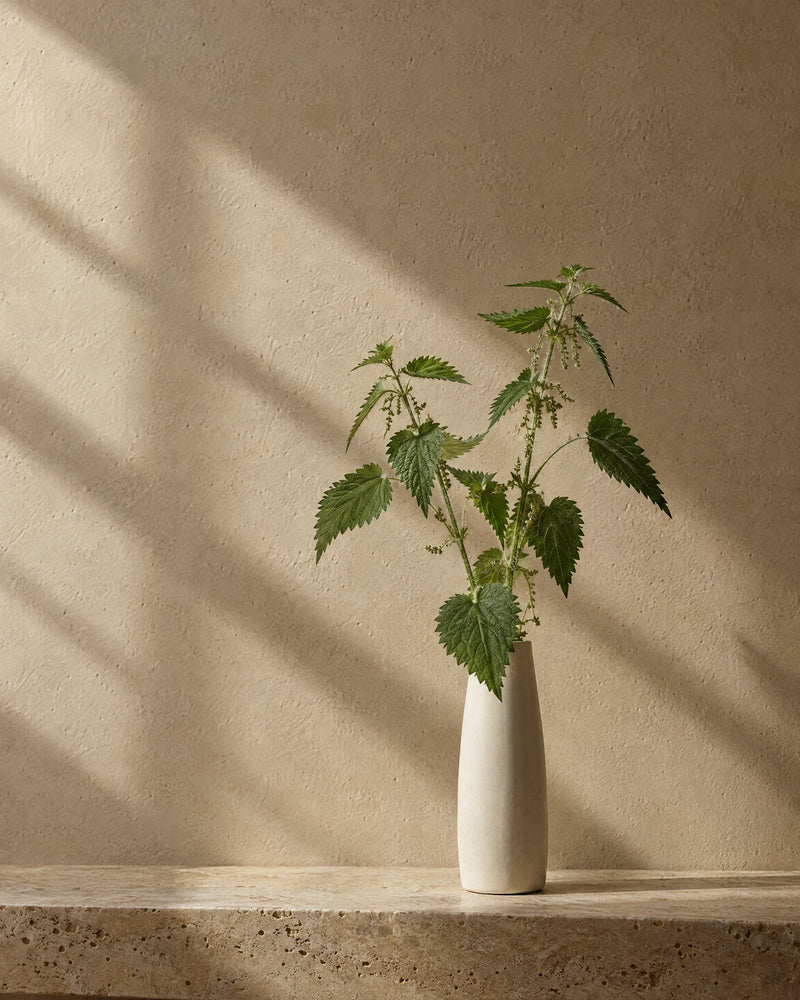 Nettle
